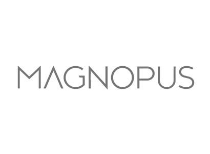Magnopus